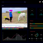 Object Detection